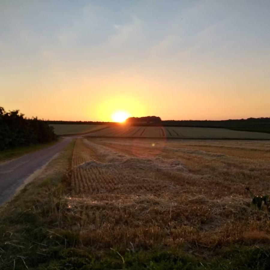 Hasbania Vakantiewoning Gingelom 外观 照片