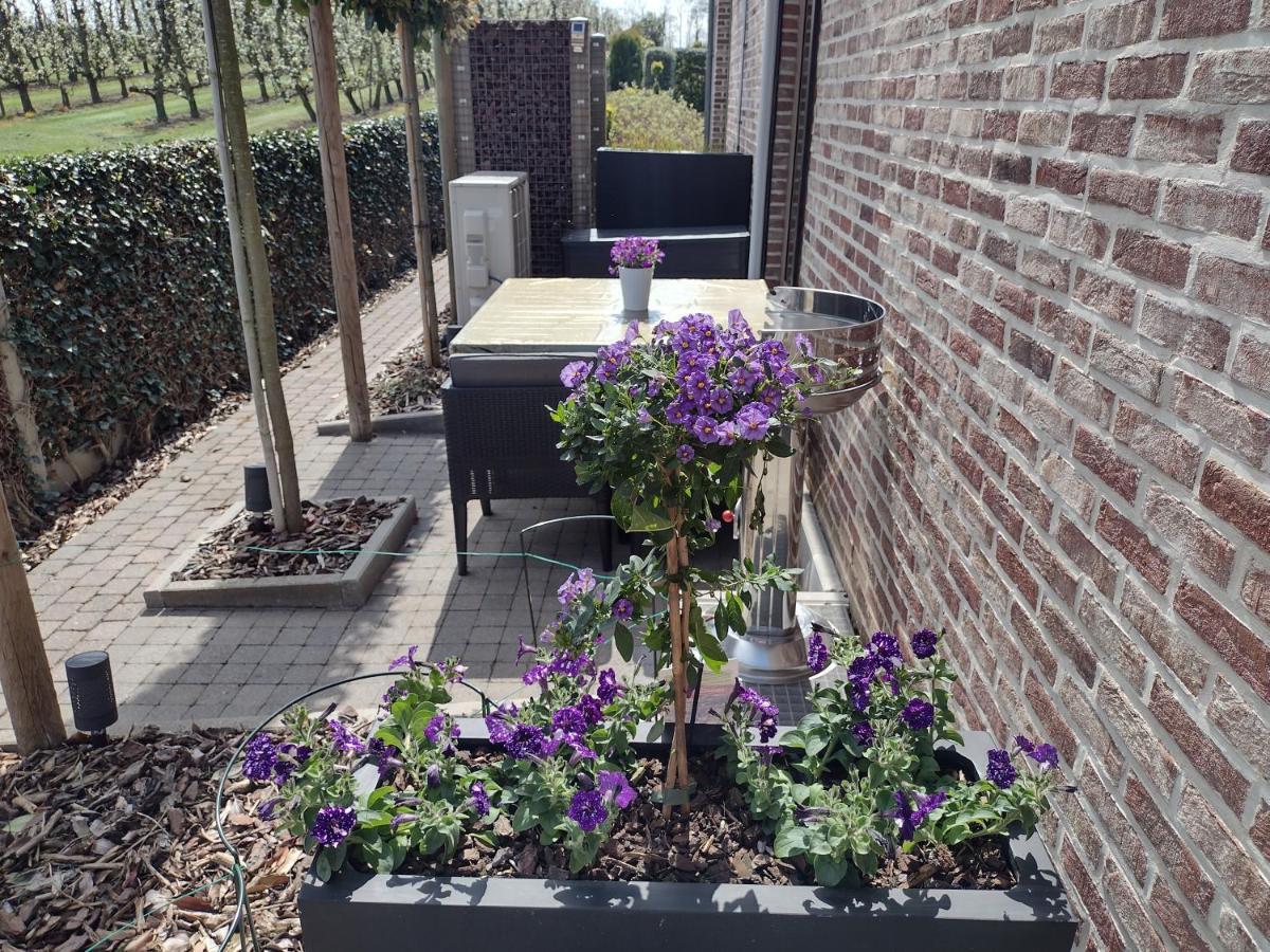 Hasbania Vakantiewoning Gingelom 外观 照片